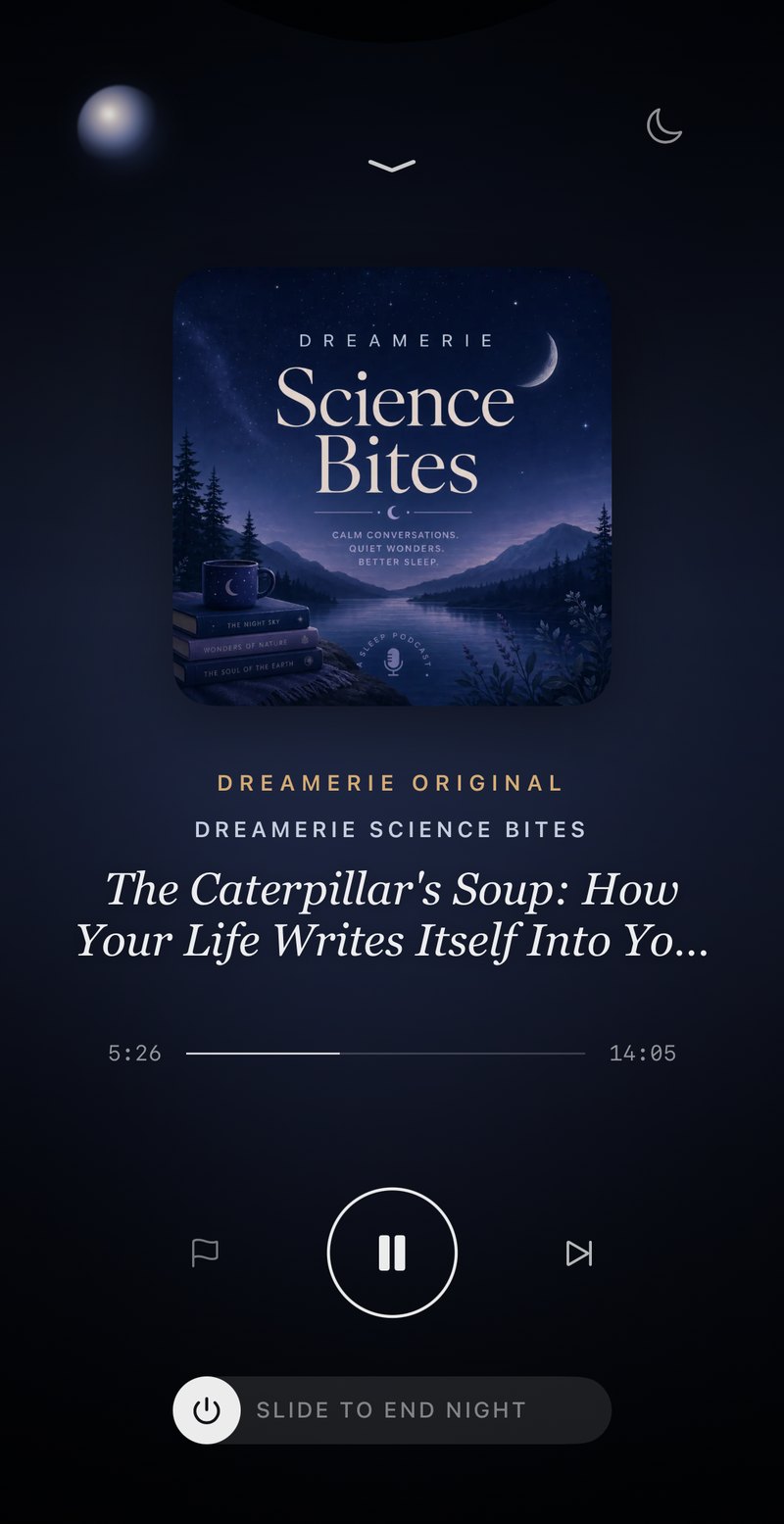 Dreamerie playing an episode of its own show, Science Bites